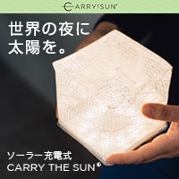 CARRY THE SUN