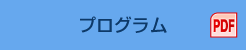 プログラム（PDF）