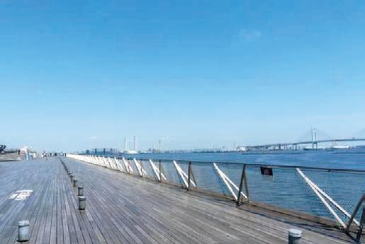 Osanbashi Hall (Yokohama International Passenger Terminal)