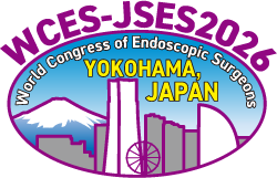 WCES-JSES2026 Logo